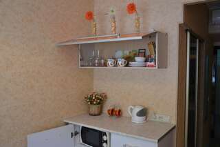 Гостиница Home Lux Апартаменты на Рождественской Нижний Новгород Номер-студио эконом-класса-5